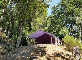 location tente freeflower