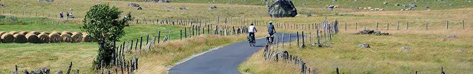 Plateau de l'Aubrac pres de Rieutort