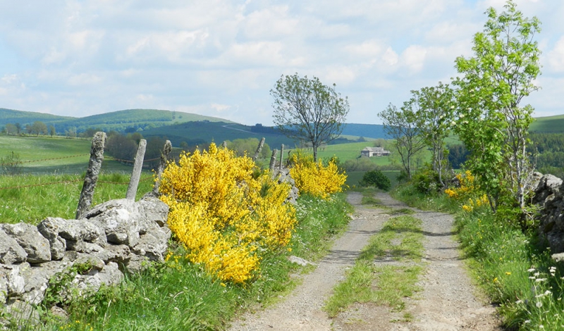 vacances cantal