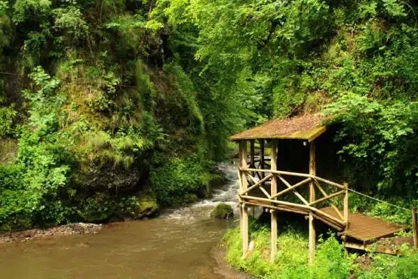 gorges de la jordanne