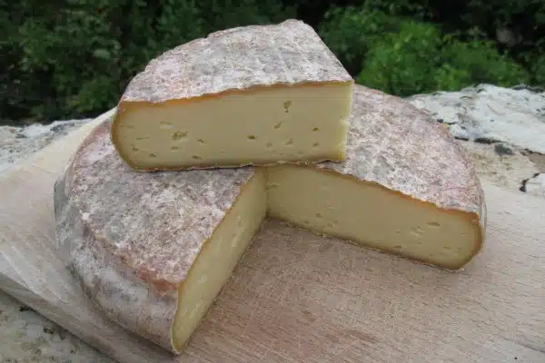 fromage d'Auvergne