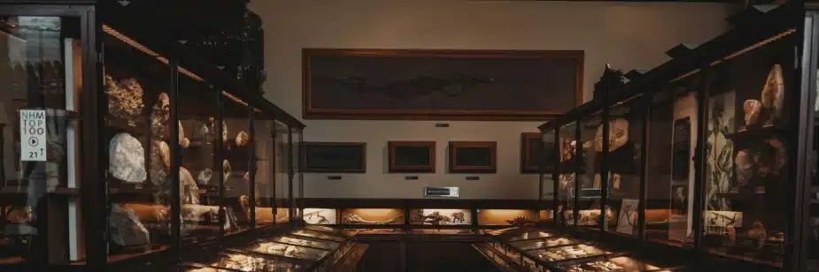 Visitez le Musée de la Haute Auvergne lors de vos vacances