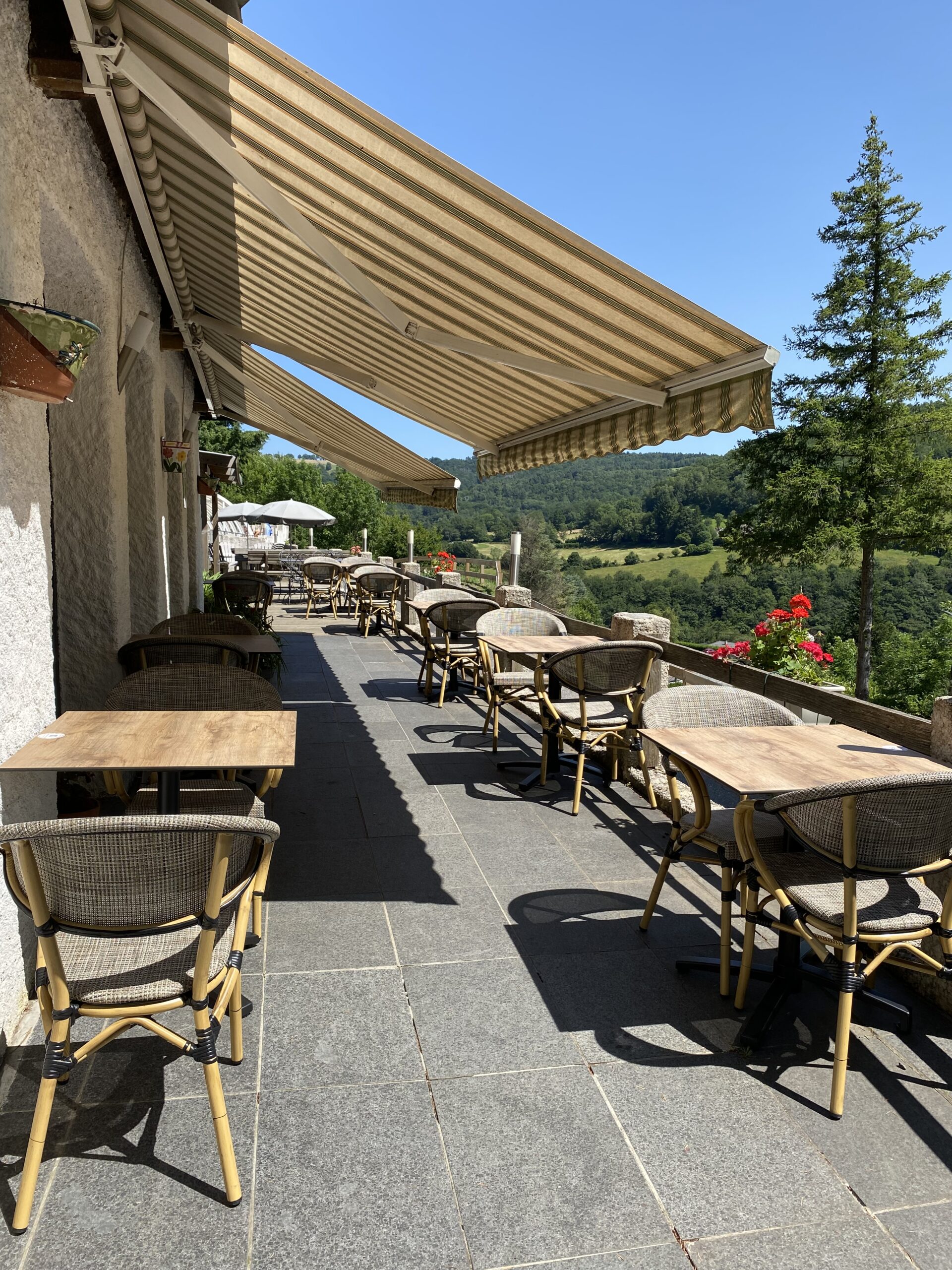 pisicne groupe auvergne