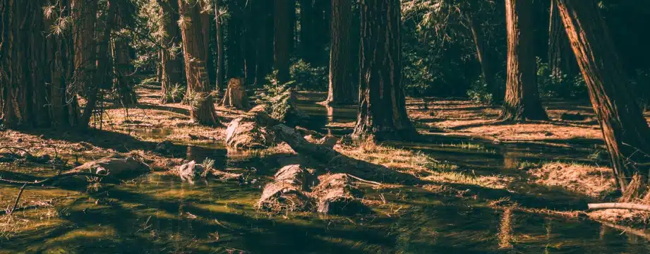 Profitez d'une marche au marais du Cassan